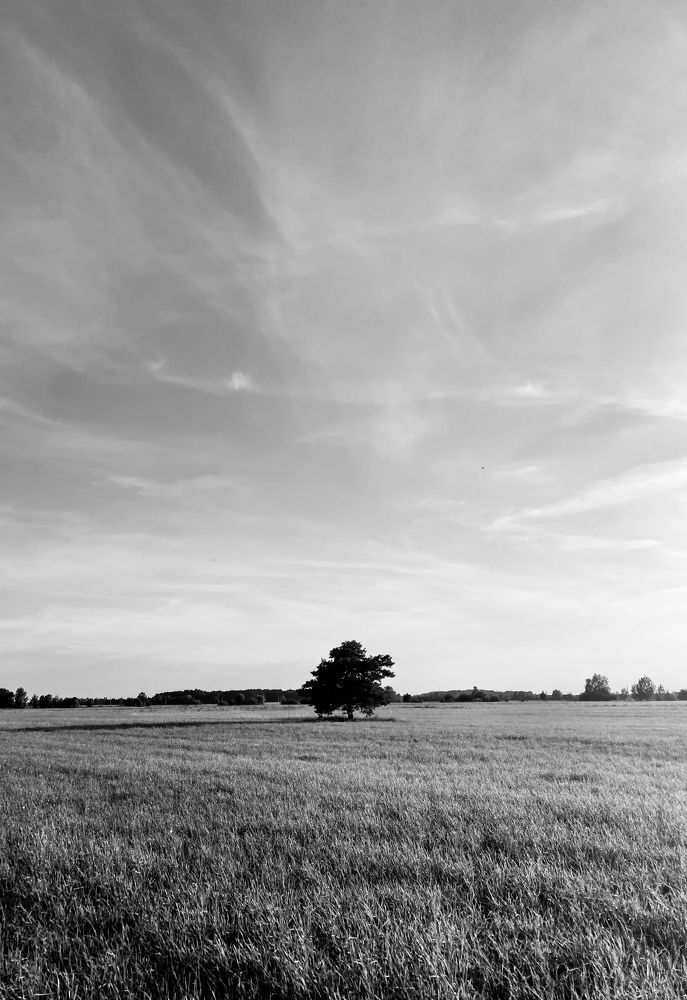 Фотография автора Ира Шугаева