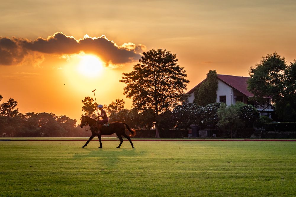 P O L O - The Gentleman's Sport