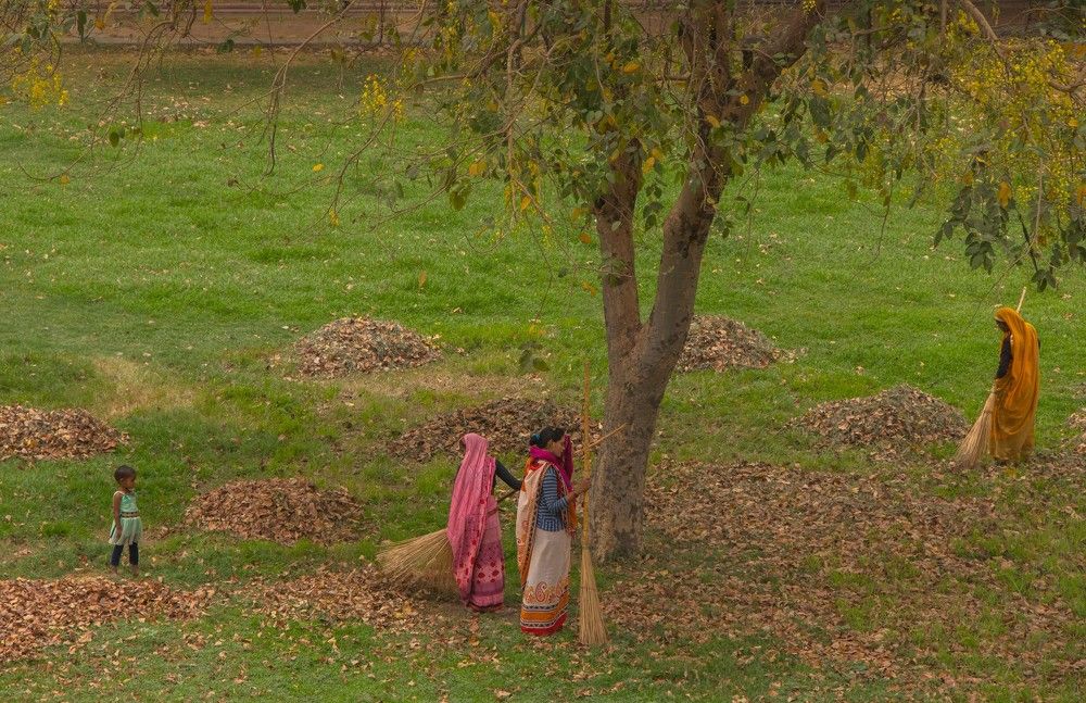 Photograph by RENU SHARMA