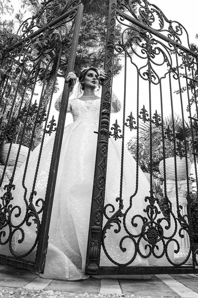 Photograph by behzad homayouninejad