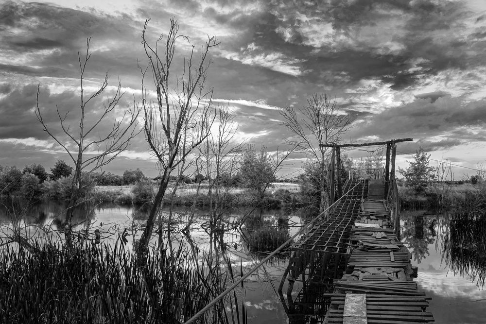 Photograph by Павел Абакумов