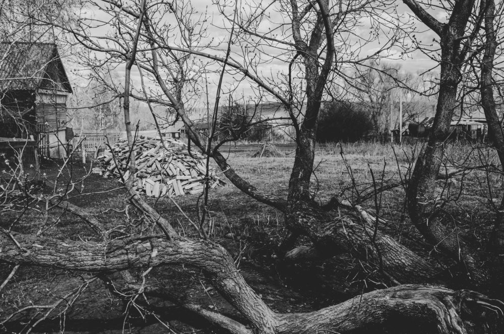 Деревенская меланхолия  Rustic melancholy