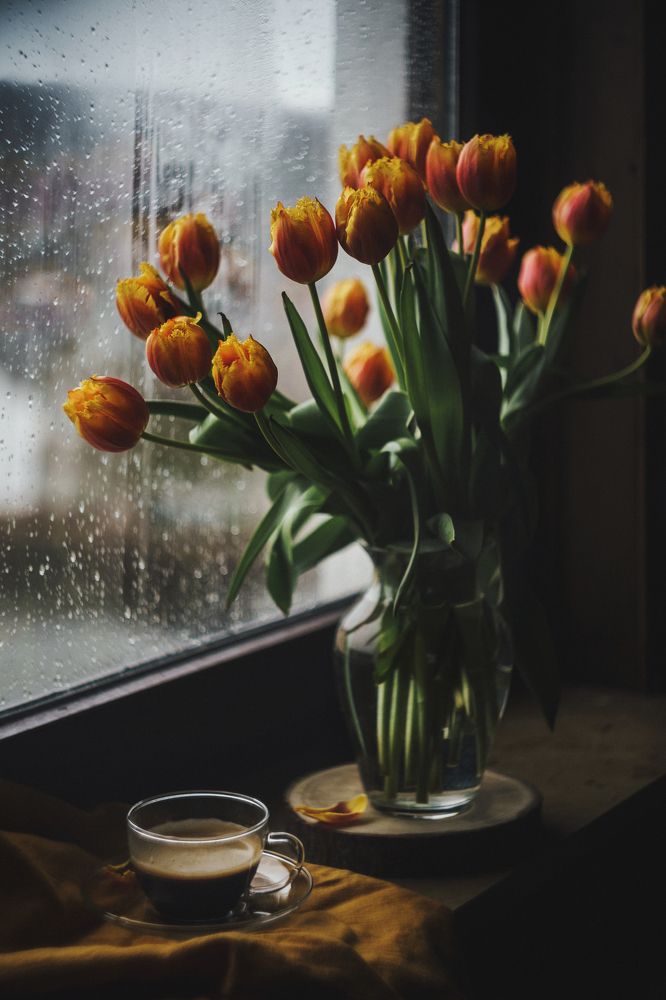 Photograph by Екатерина