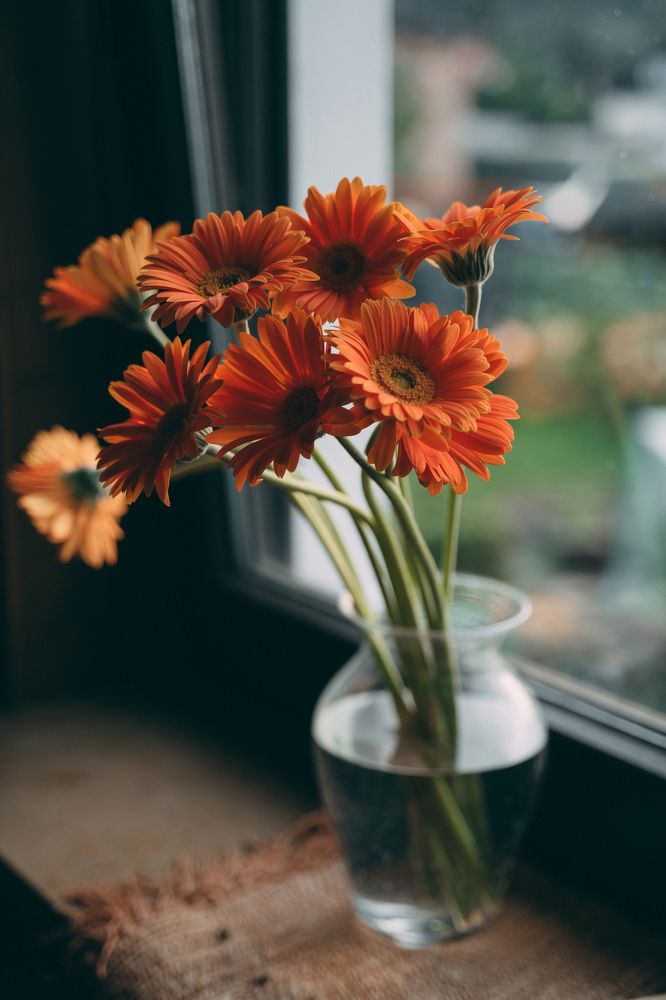 Photograph by Екатерина