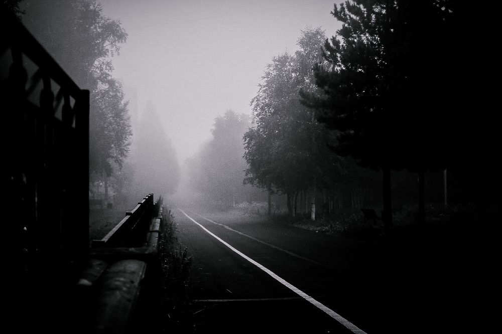 Photograph by Поля Ребрихина