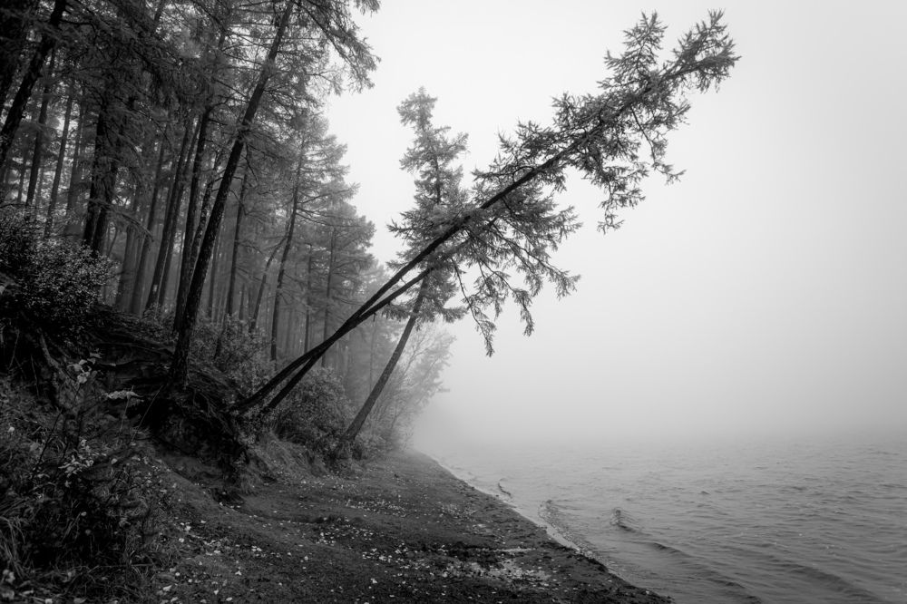 Photograph by Сергей Марценович