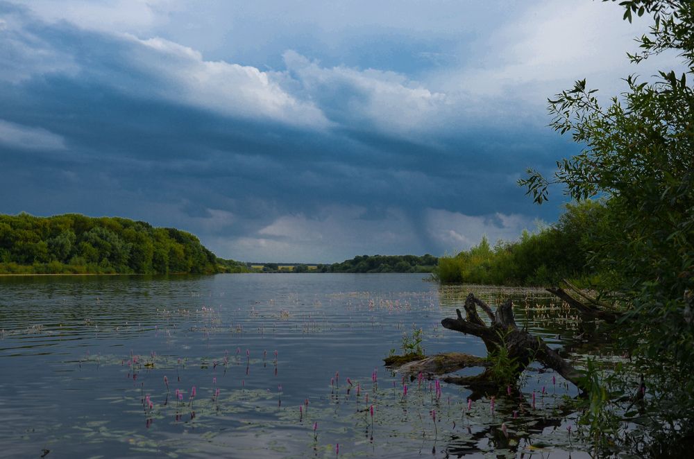 Photograph by Елена Сырцева