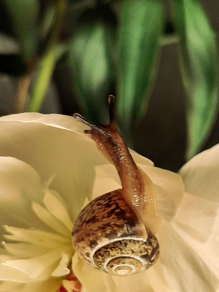 Photograph by Светлана Соколова