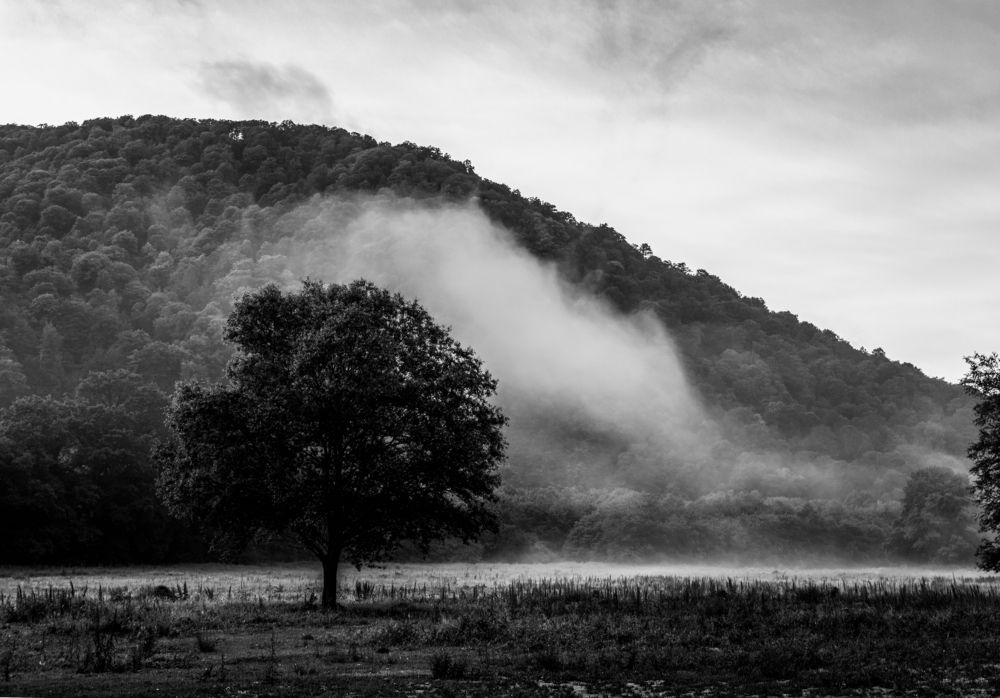 Photograph by Елена Плотникова