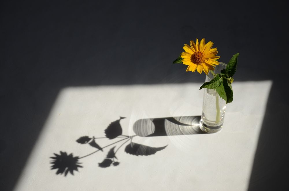 Photograph by Елена Сырцева