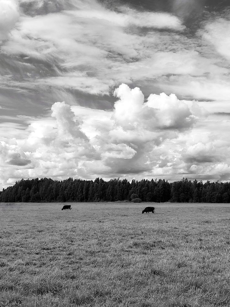 Photograph by Ольга Сучкова