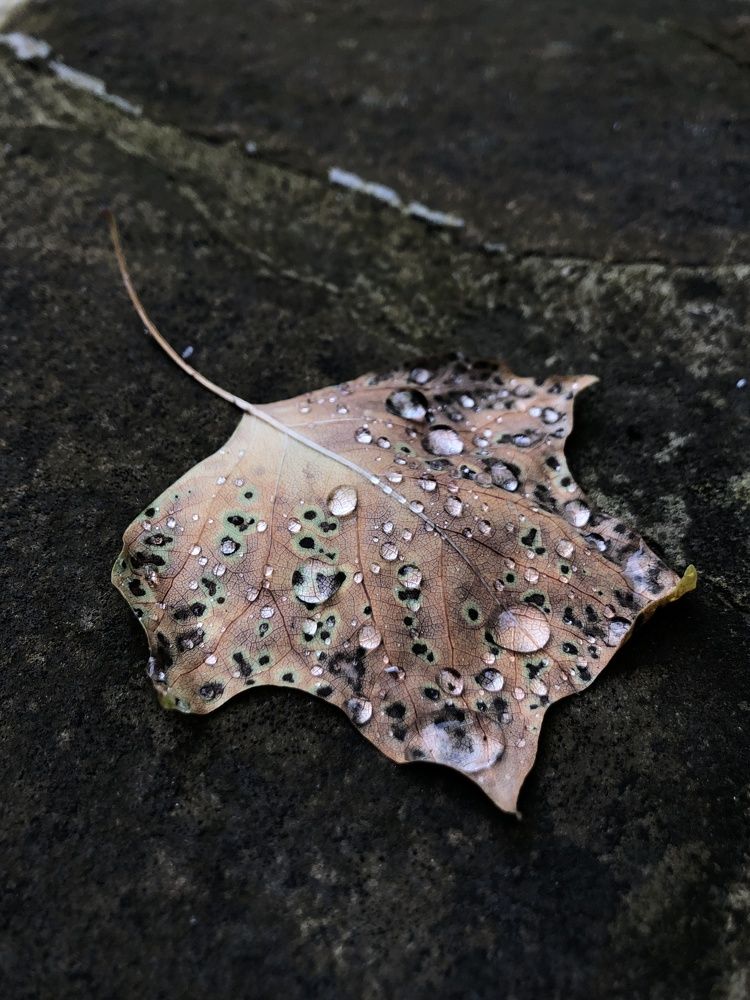 Photograph by Ирина Панюк