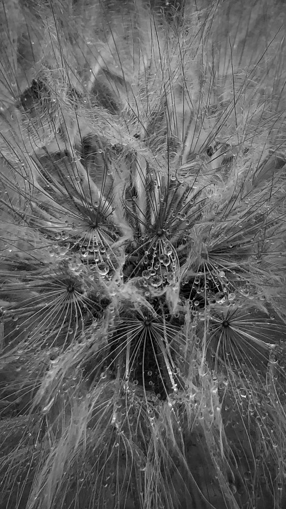 Photograph by Ирина Панюк