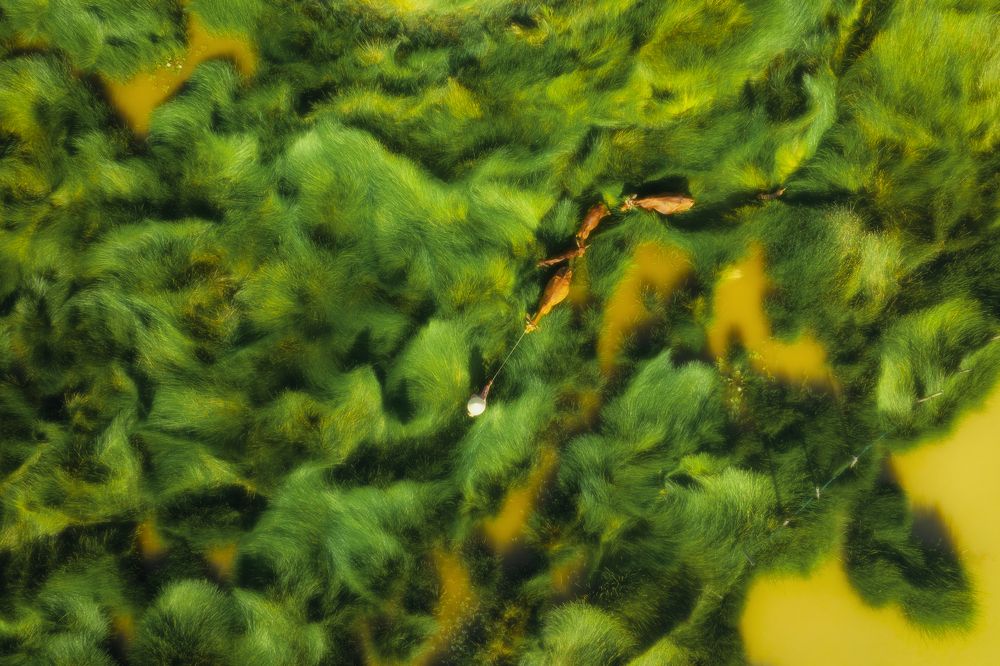 Photograph by Nguyen Ngoc Tuan