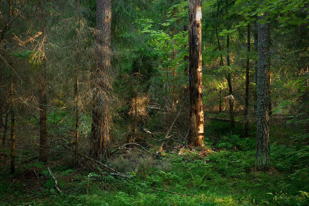 Photograph by Alexandr Kurylev