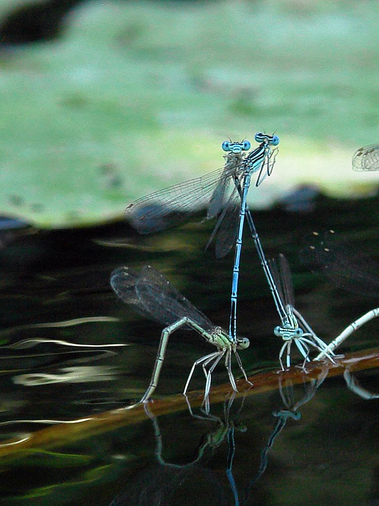 Внимание! Нас заметили!