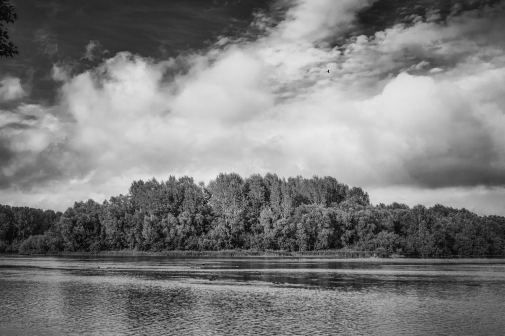 Photograph by Кирилл Богомазов