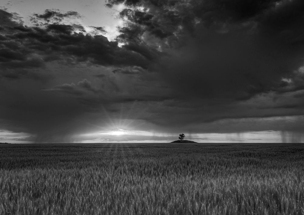 Photograph by Сергей Степанов