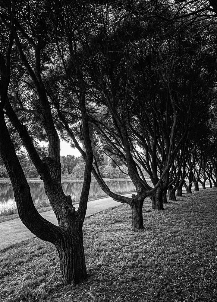 Photograph by Олеся