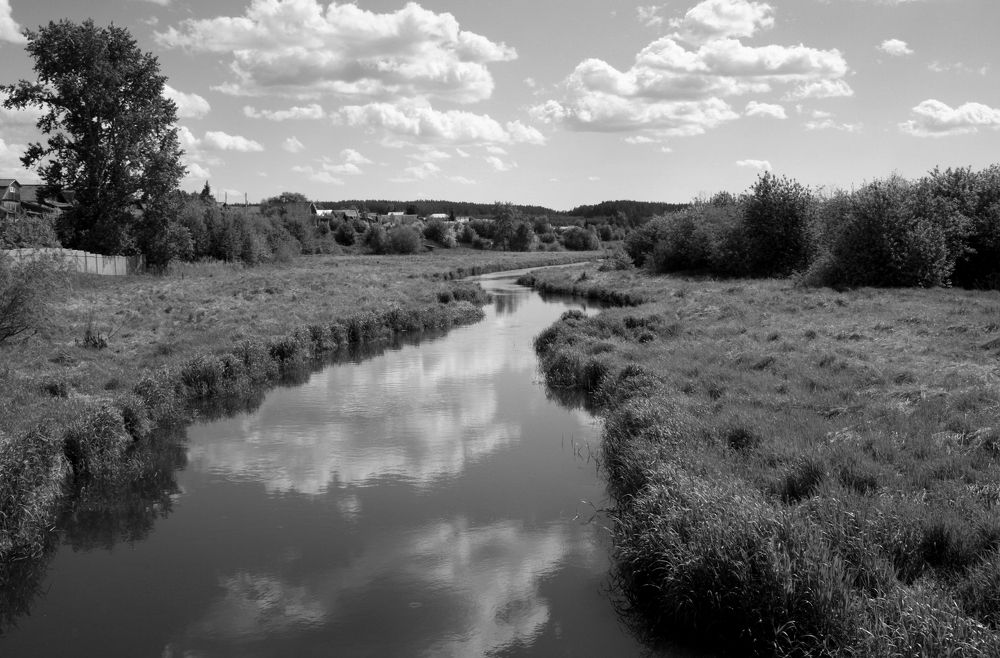 Фотография автора Nelya  Lysenko