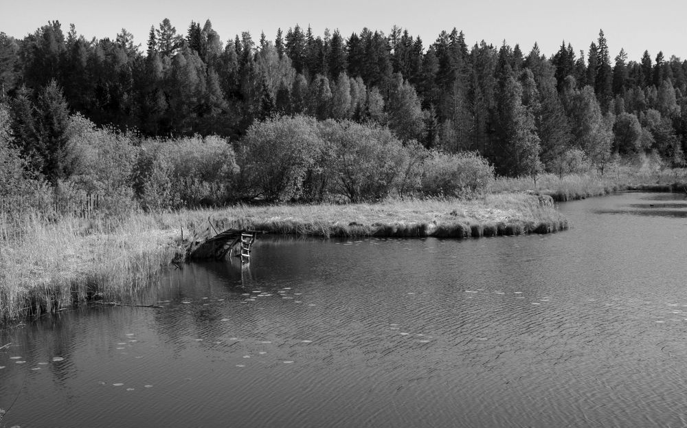 Фотография автора Nelya  Lysenko