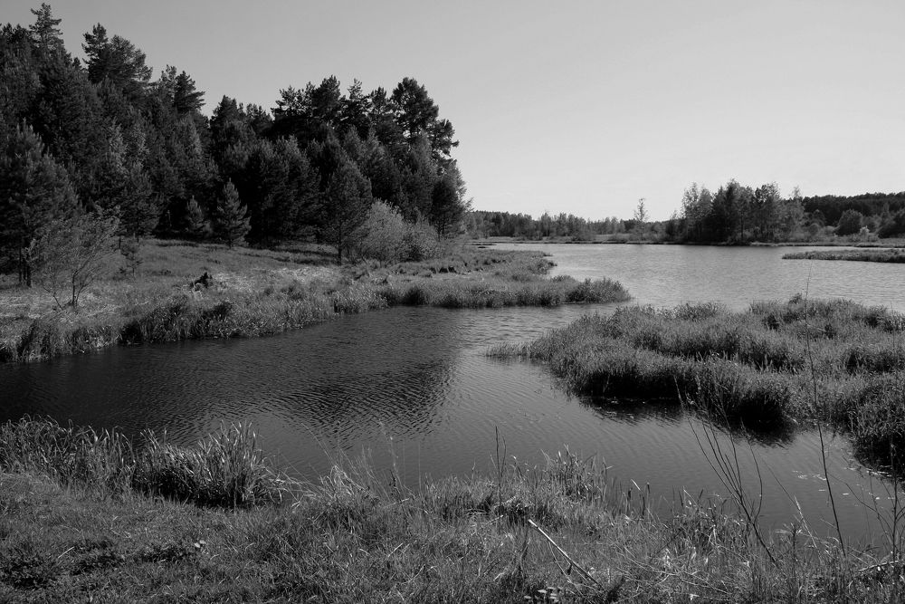 Фотография автора Nelya  Lysenko
