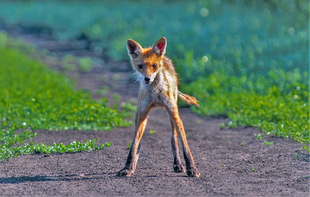 Photograph by Алексей Сиваков