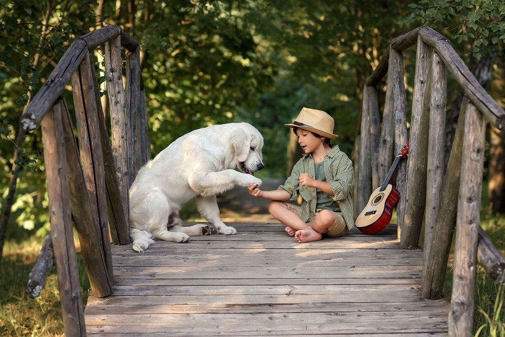 Photograph by Виктория Дубровская