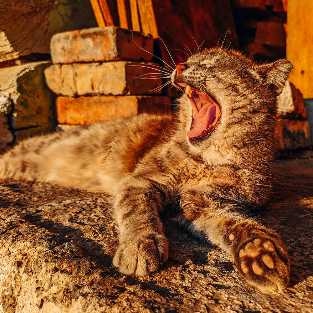 Photograph by Ишниязов Марсель