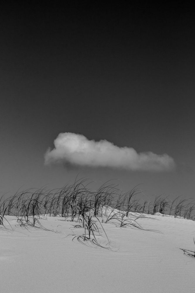 Photograph by Jorge Bagnuoli