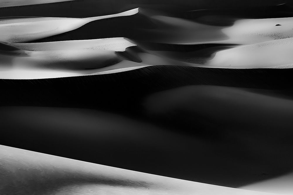 Photograph by Reza Mohammadi