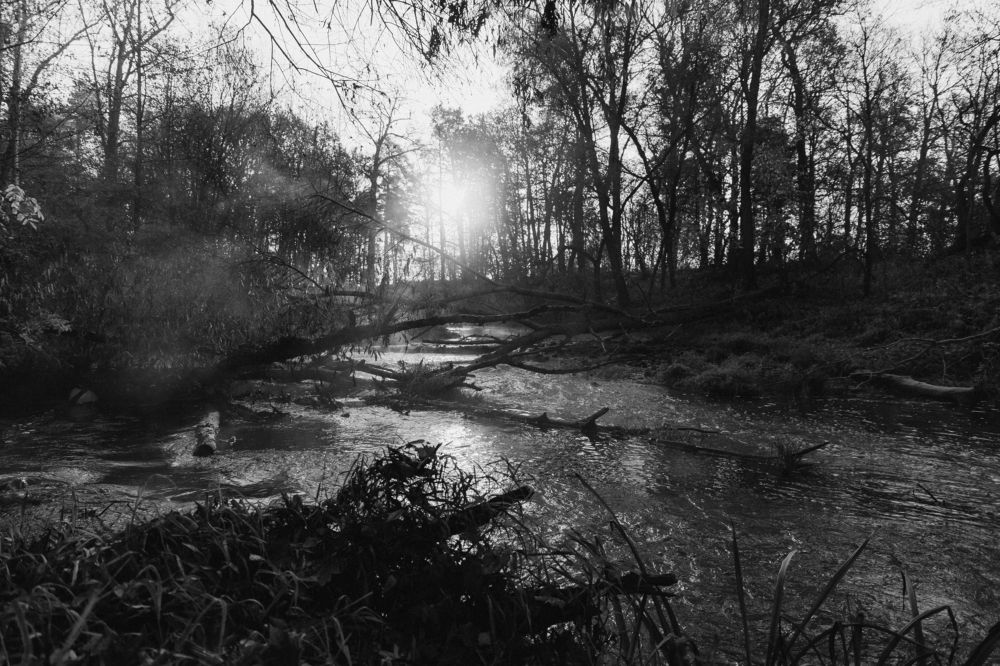 Photograph by Ольга Додонова