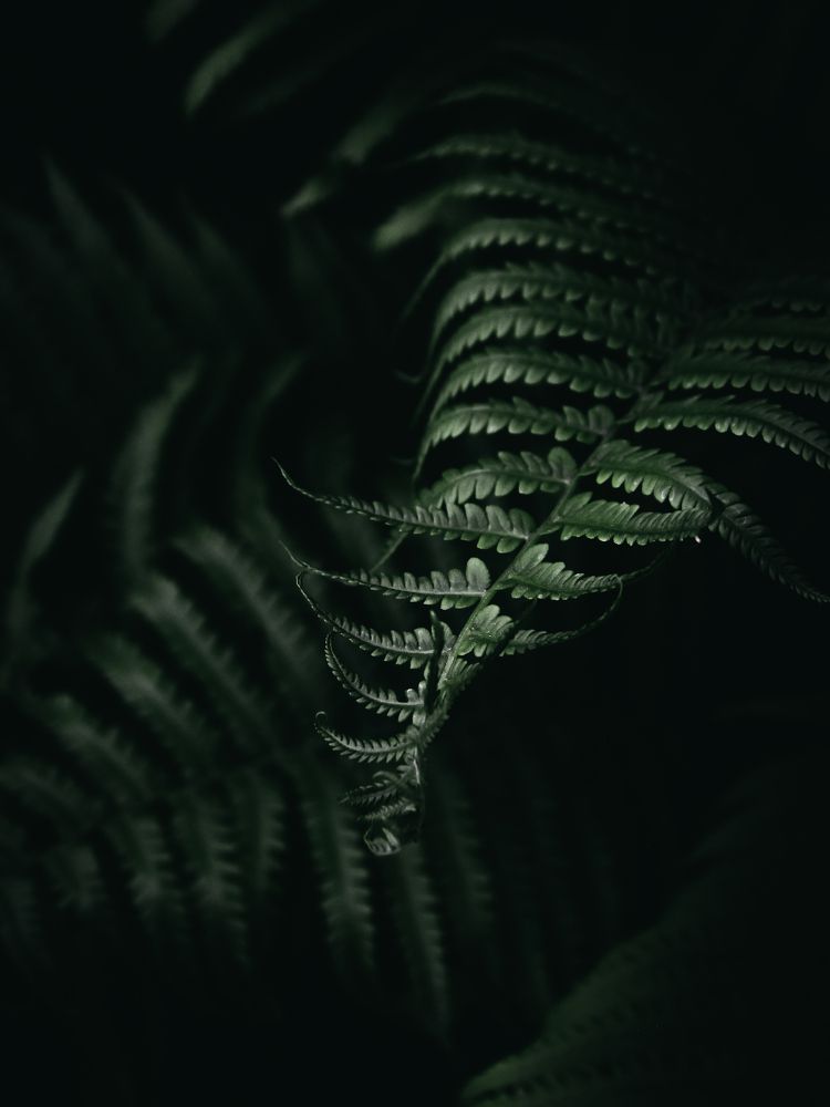 Photograph by Мария Матвеенко