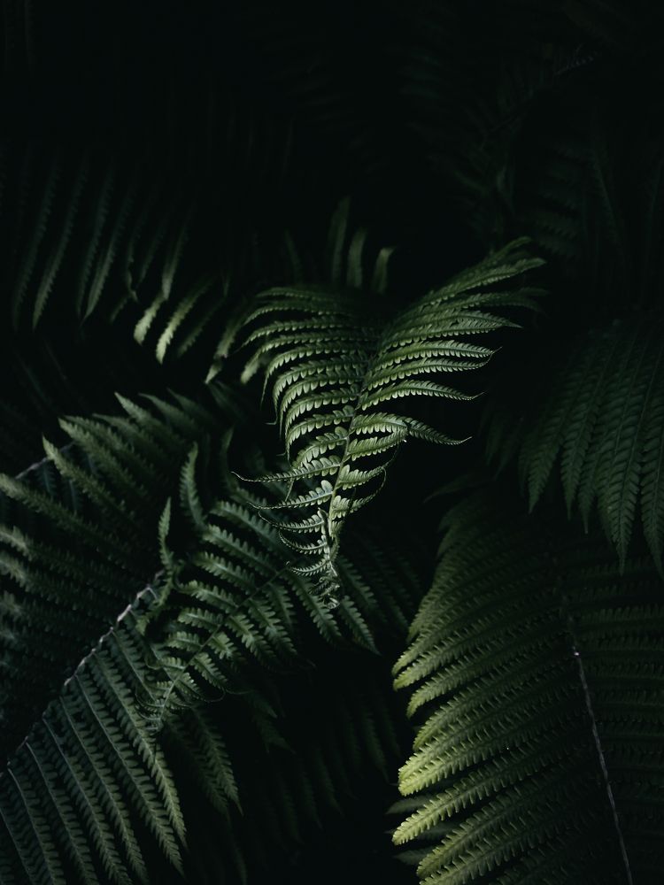 Photograph by Мария Матвеенко