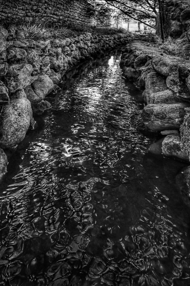 Photograph by Bahareh Molmoli