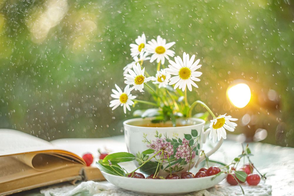 Photograph by Ольга Копылова