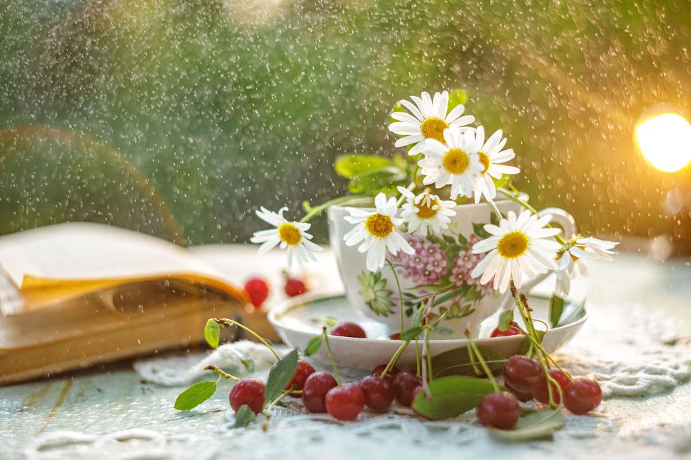 Photograph by Ольга Копылова