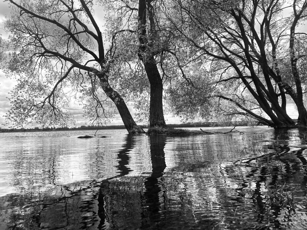 Photograph by Наталья Трусова