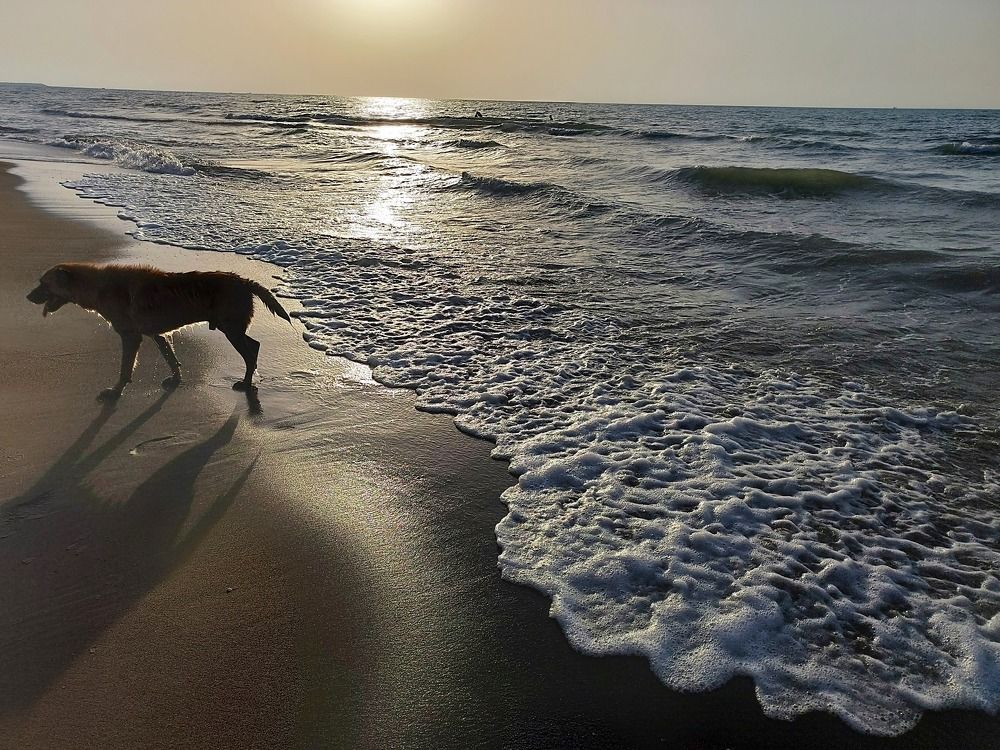 Photograph by Mohammed Araghi