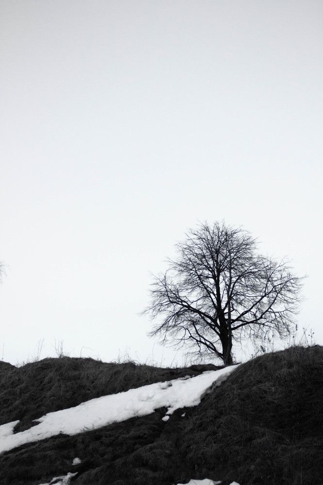 Photograph by Екатерина