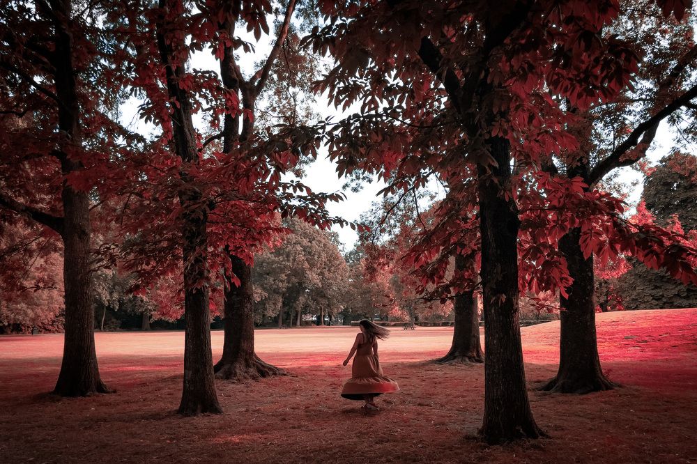 Фотография автора Paweł Sierpiński