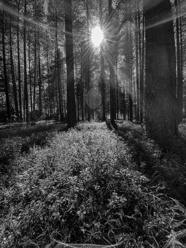 Photograph by Анна Леонова