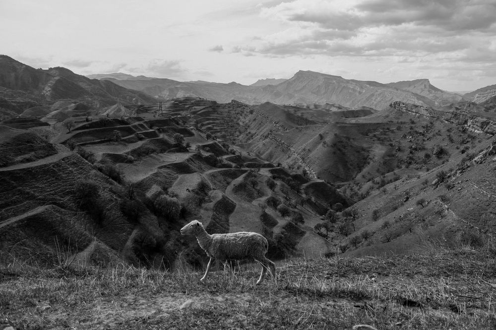 Photograph by Анна Леонова