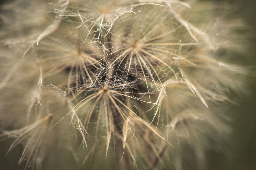 Photograph by Виталий Ивановский