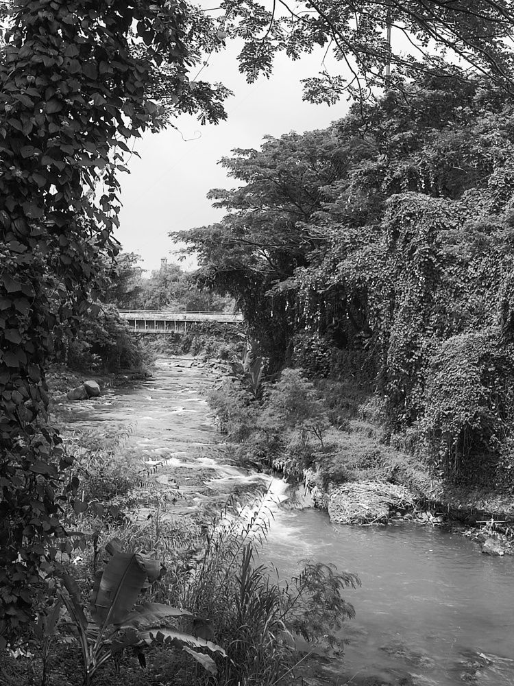 Photograph by Meilany Wijaya