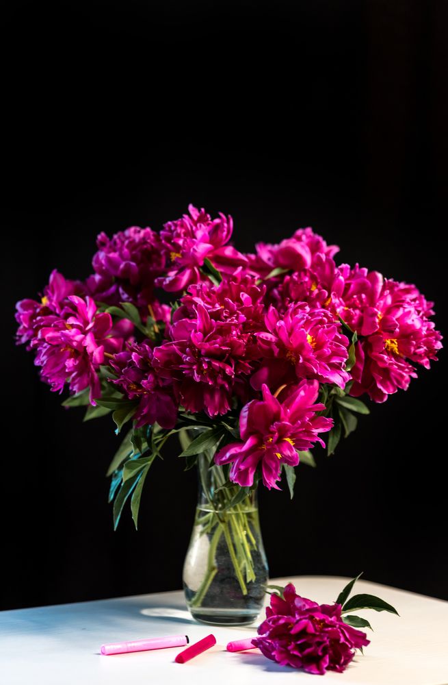 Фотография автора Мария Путилина