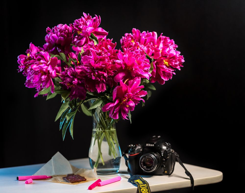 Фотография автора Мария Путилина