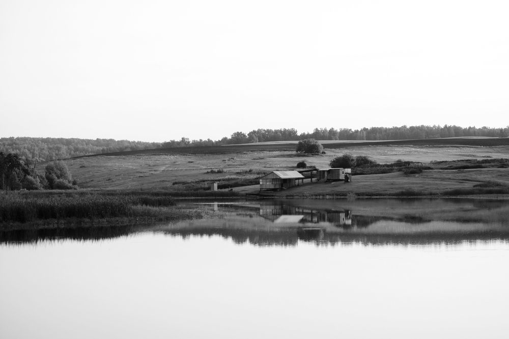 Фотография автора Дарья Шамакина