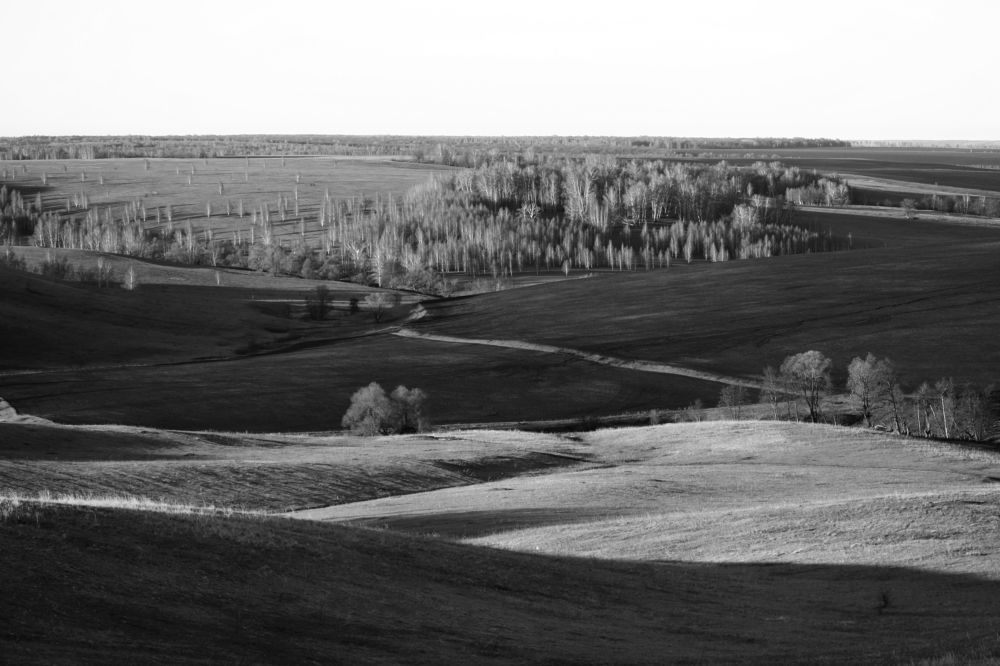 Фотография автора Дарья Шамакина