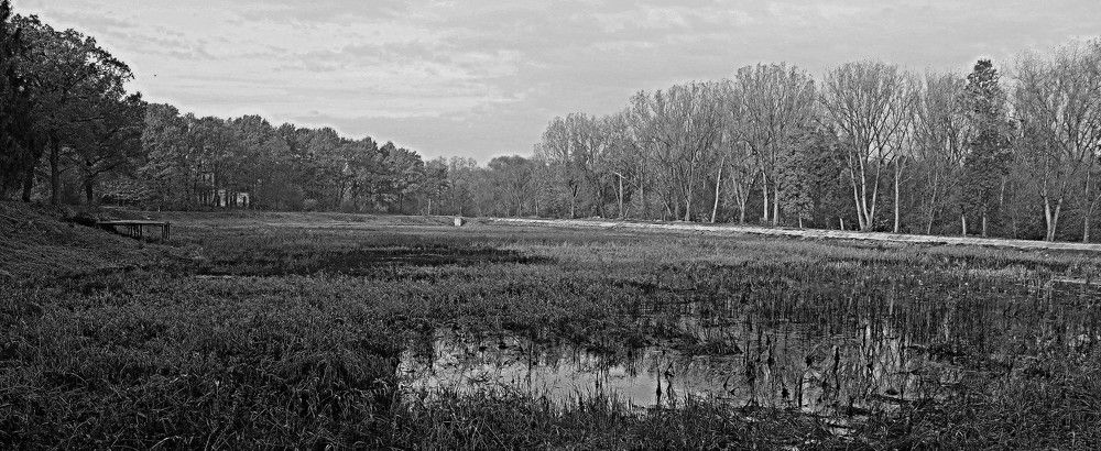 Photograph by Сергей Рапопорт